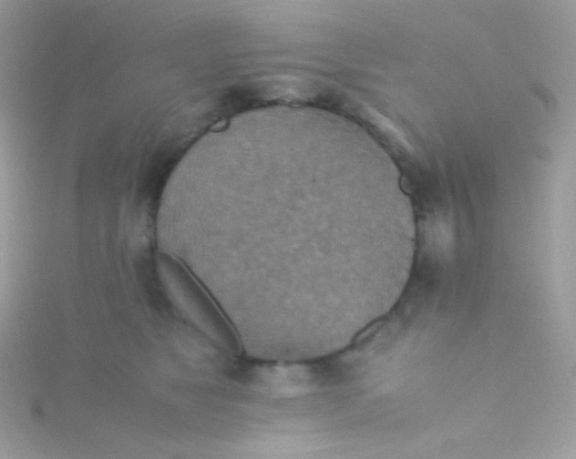 X0000115600517200911241557