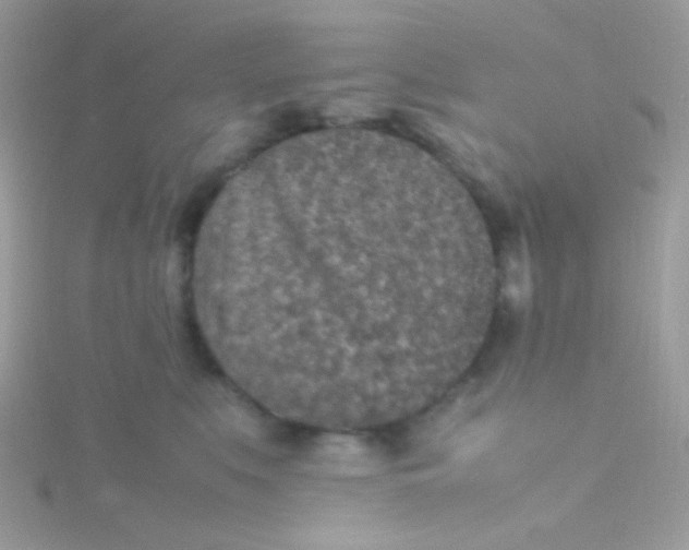 X0000115600519200911241557