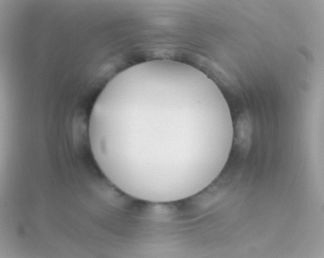 X0000115600522200911241557