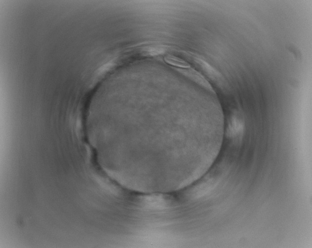 X0000115600524200911241557