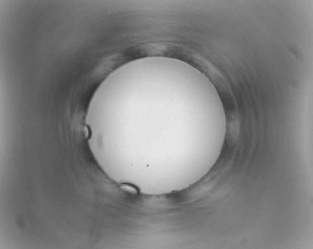 X0000115600525200911241557