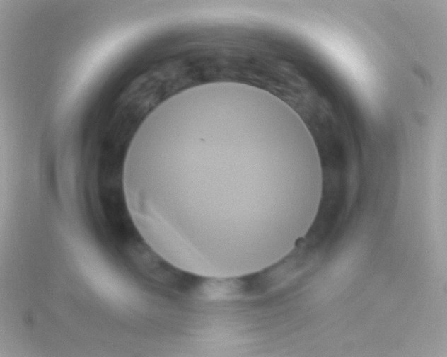 X0000115600526200911241557