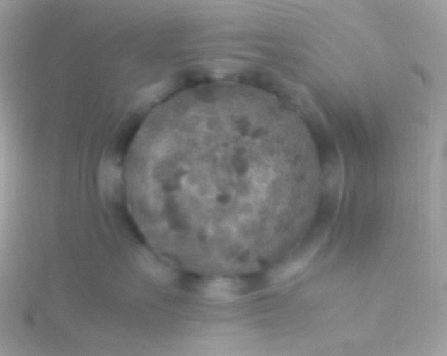 X0000115600527200911241557