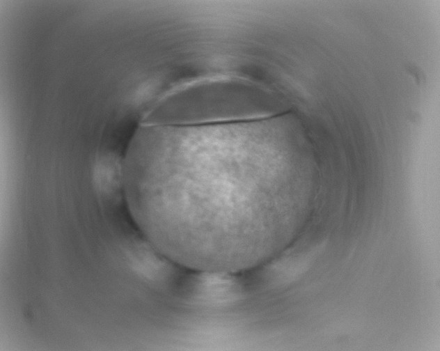 X0000115600528200911241557