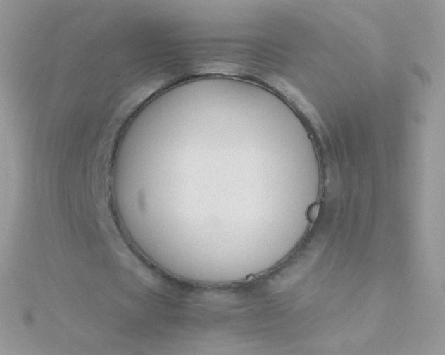 X0000115600529200911241557