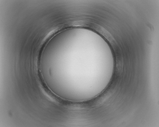 X0000115600530200911241557