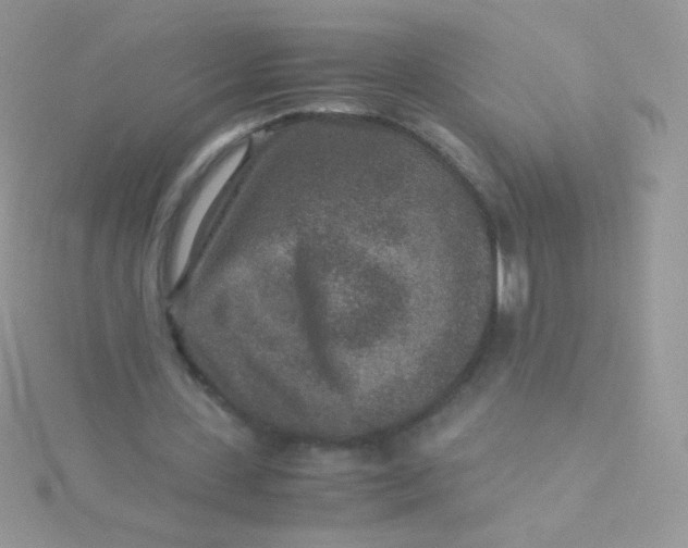 X0000115600531200911241557