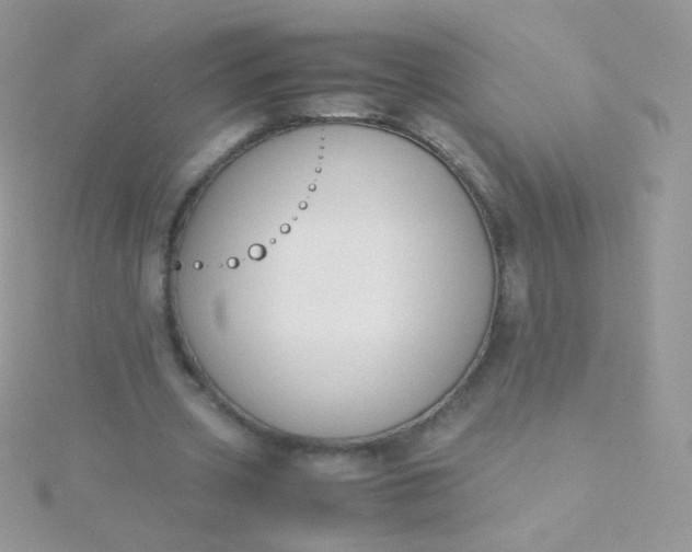 X0000115600533200911241557