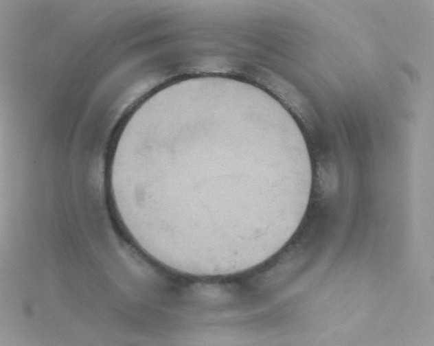 X0000115600534200911241557