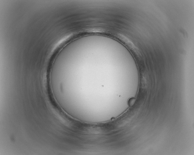 X0000115600535200911241557