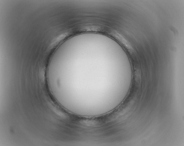 X0000115600537200911241557