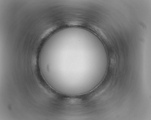 X0000115600539200911241557