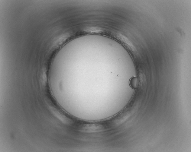 X0000115600541200911241557