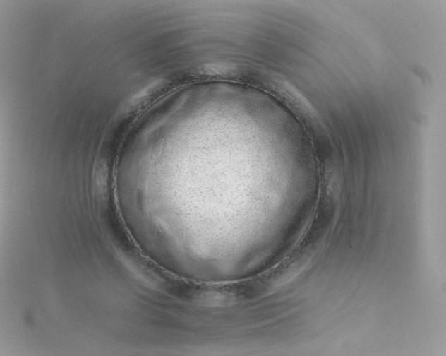 X0000115600542200911241557