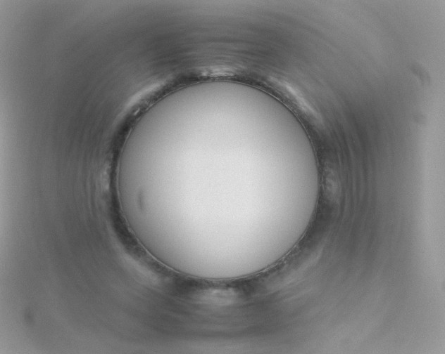 X0000115600543200911241557