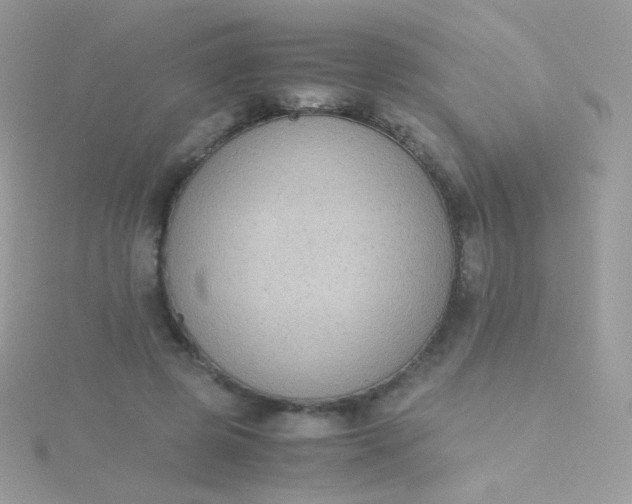 X0000115600545200911241557