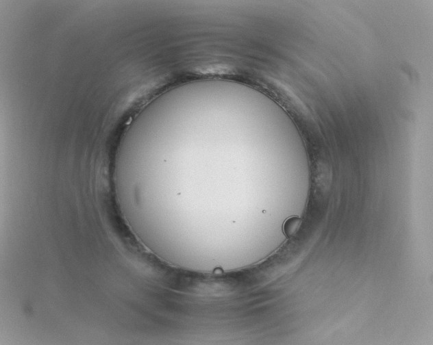 X0000115600547200911241557