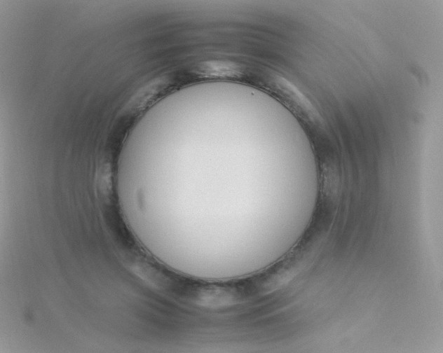 X0000115600549200911241557