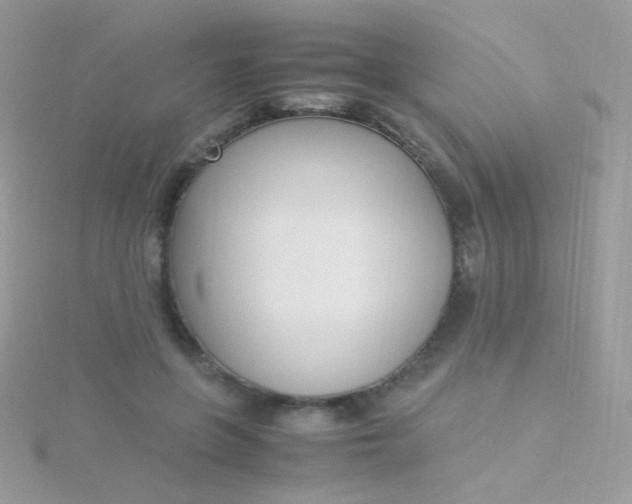 X0000115600551200911241557