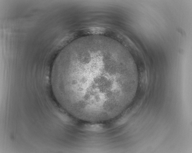 X0000115600553200911241557