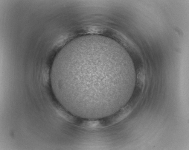 X0000115600554200911241557