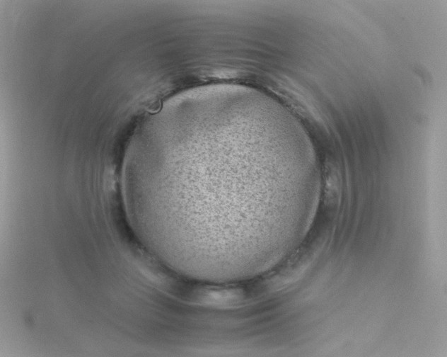 X0000115600555200911241557