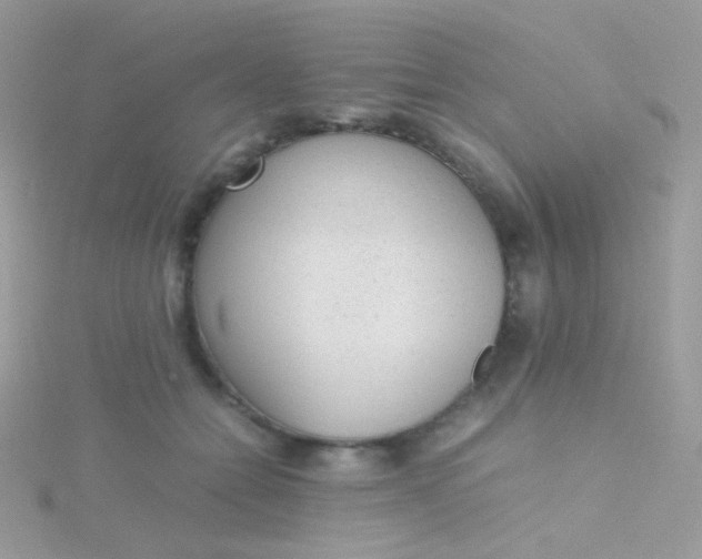 X0000115600558200911241557