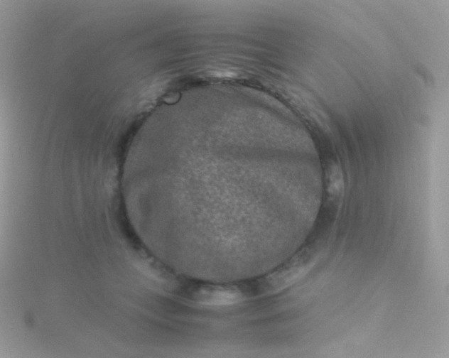 X0000115600559200911241557