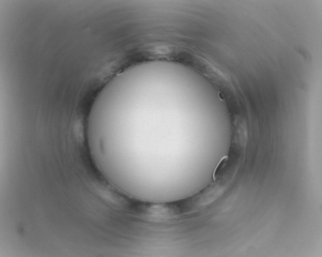 X0000115600562200911241557