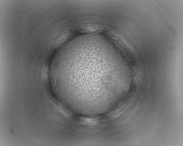 X0000115600563200911241557