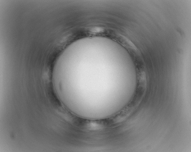 X0000115600565200911241557