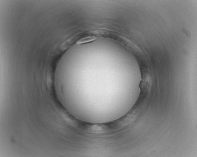 X0000115600566200911241557