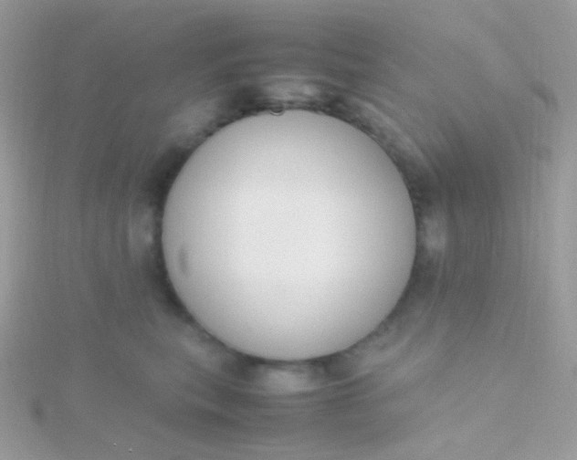 X0000115600567200911241557