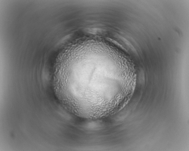 X0000115600569200911241557