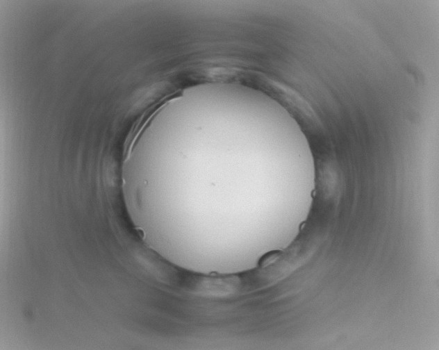 X0000115600571200911241557