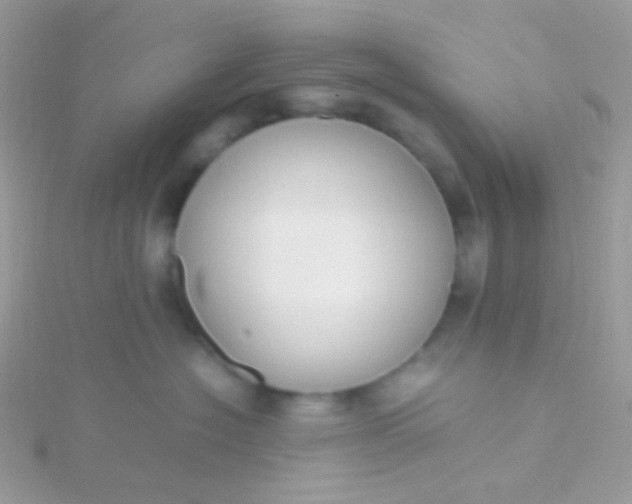 X0000115600574200911241557