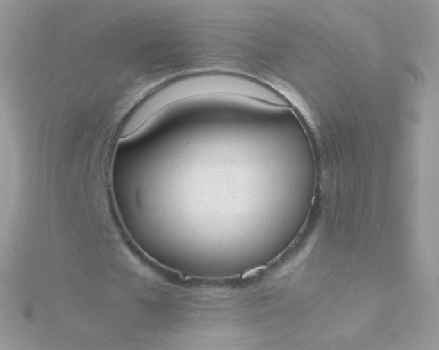 X0000115600577200911241557