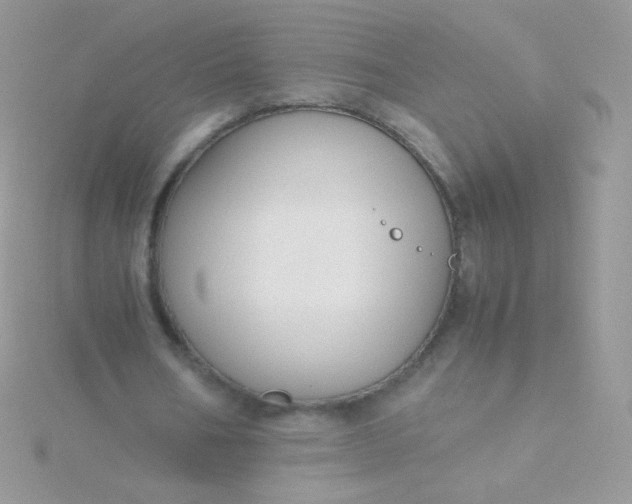 X0000115600578200911241557