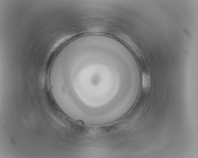 X0000115600579200911241557