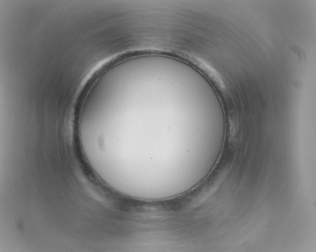 X0000115600580200911241557