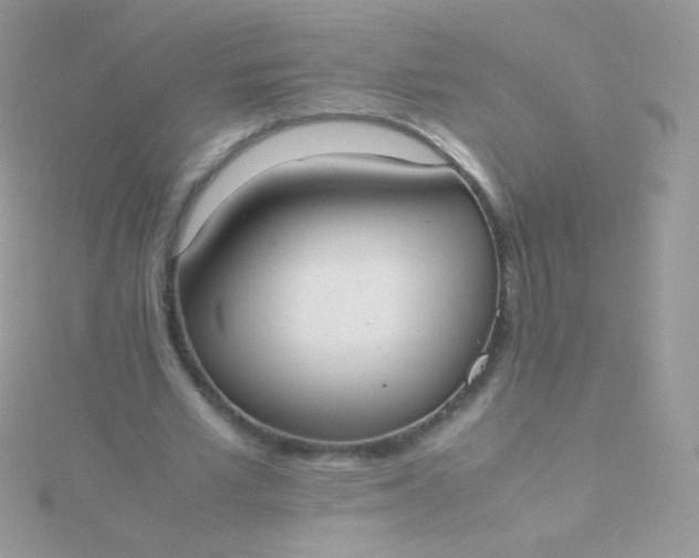 X0000115600581200911241557