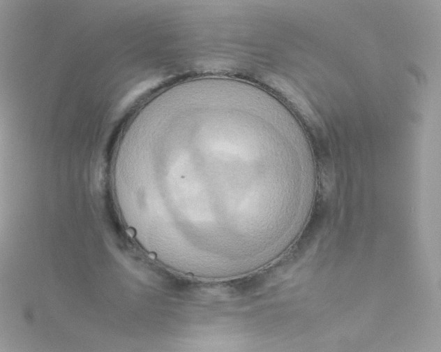 X0000115600583200911241556