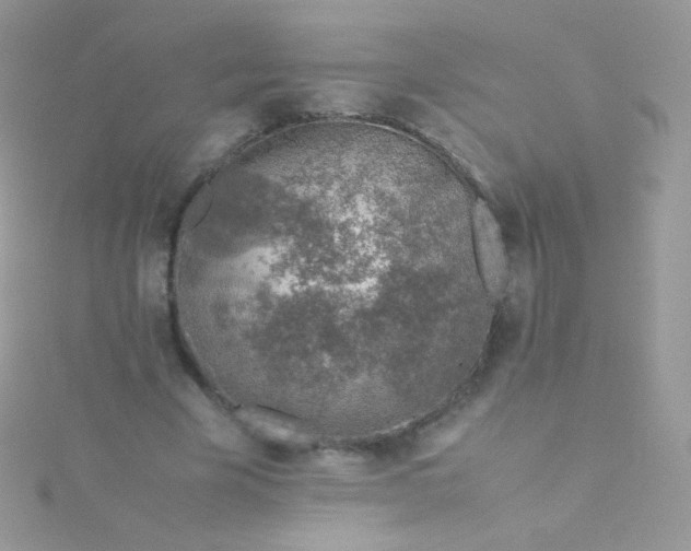 X0000115600585200911241556