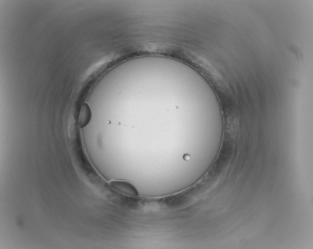 X0000115600587200911241556