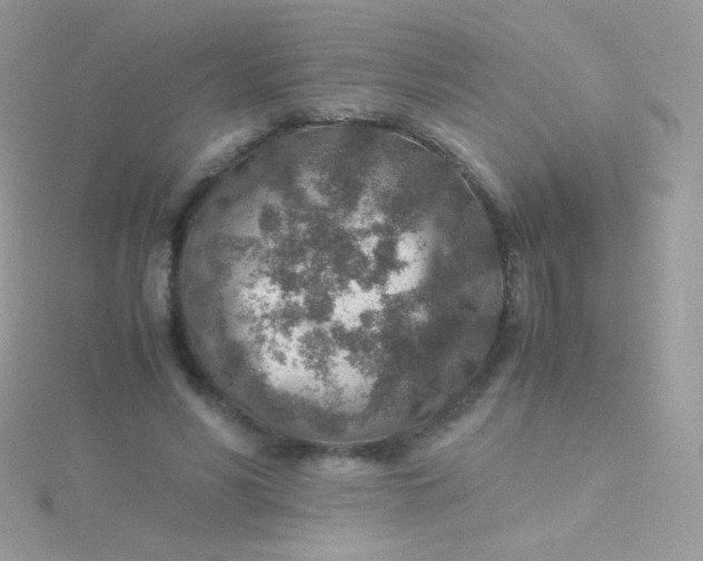 X0000115600590200911241556