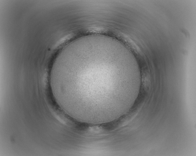 X0000115600591200911241556