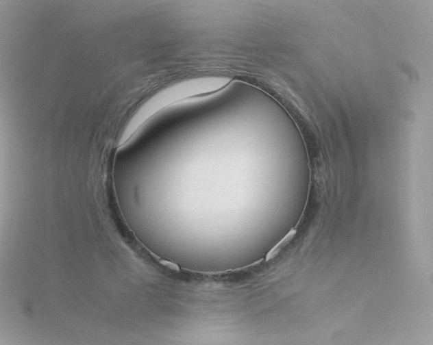 X0000115600593200911241556