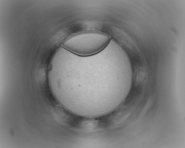 X0000115600595200911241556