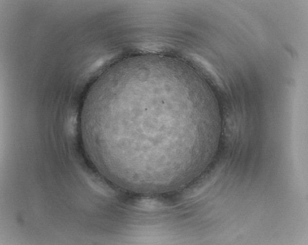 X0000115600596200911241556