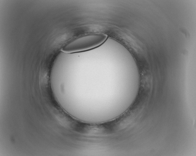 X0000115600597200911241556